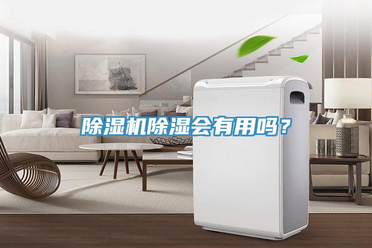 MR.好色破解版除湿会有用吗？