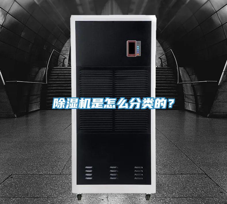 MR.好色破解版是怎么分类的？