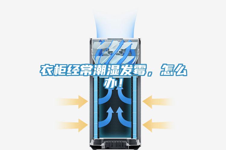 衣柜经常潮湿发霉，怎么办！