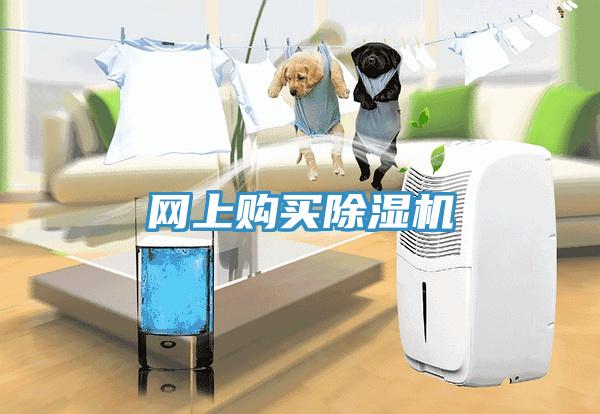 网上购买MR.好色破解版