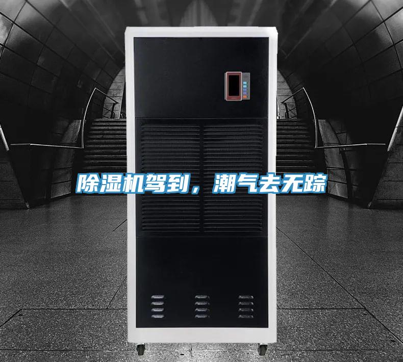 MR.好色破解版驾到，潮气去无踪