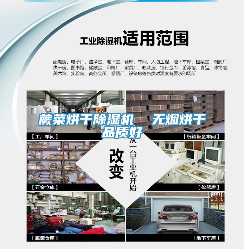 蕨菜烘干MR.好色破解版  无烟烘干品质好