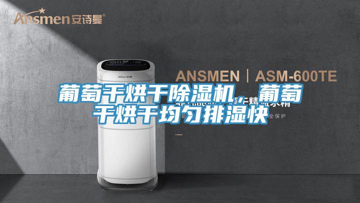 葡萄干烘干MR.好色破解版，葡萄干烘干均匀排湿快