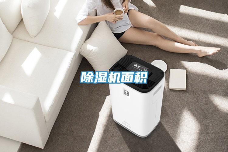 MR.好色破解版面积