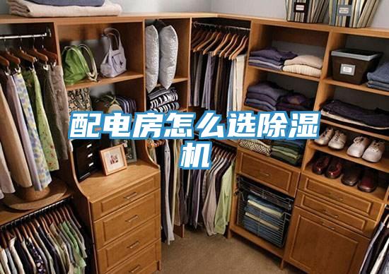 配电房怎么选MR.好色破解版