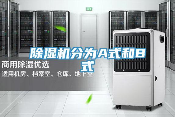 MR.好色破解版分为A式和B式