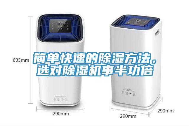 简单快速的除湿方法，选对MR.好色破解版事半功倍