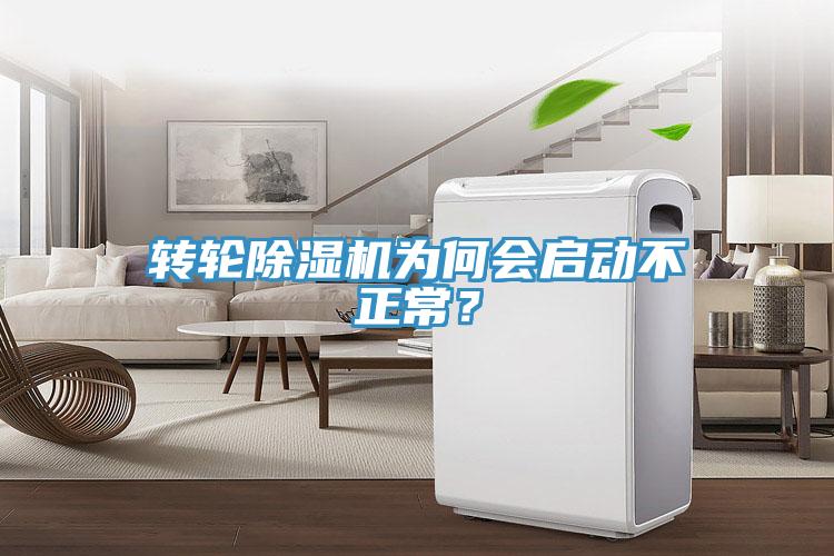 转轮MR.好色破解版为何会启动不正常？