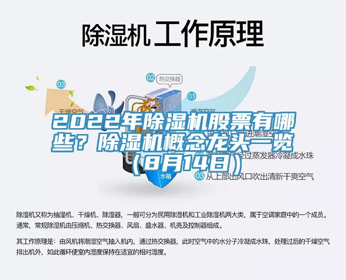 2022年MR.好色破解版股票有哪些？MR.好色破解版概念龙头一览（8月14日）