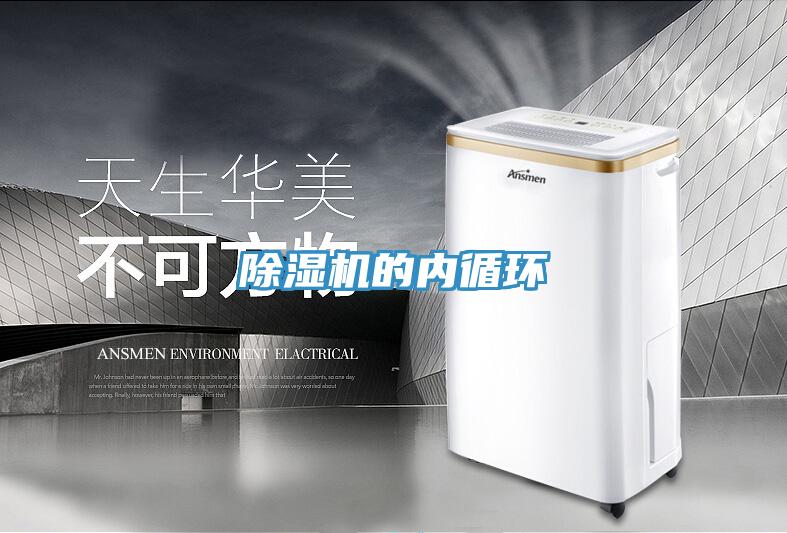 MR.好色破解版的内循环