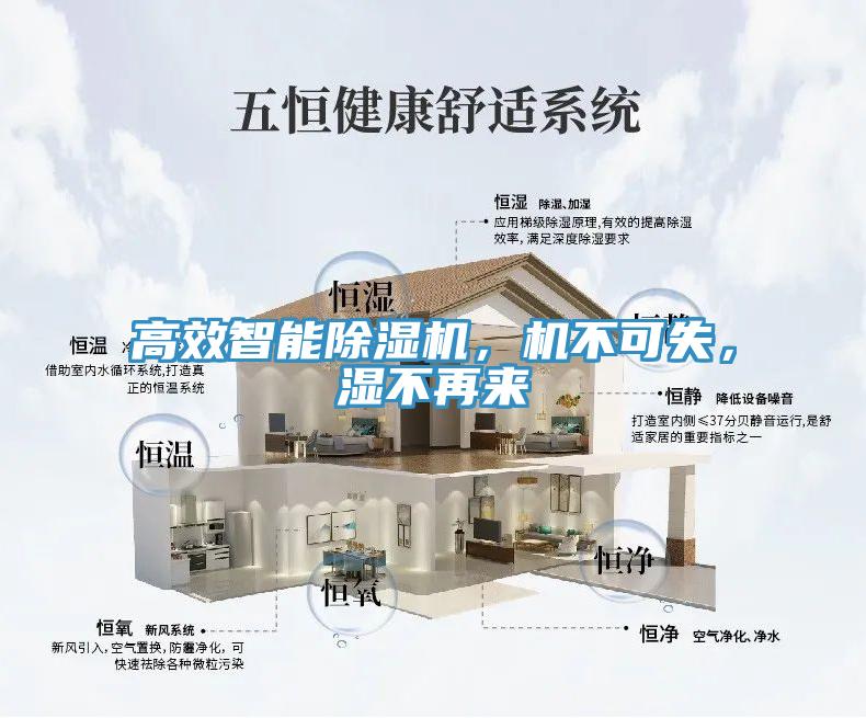 高效智能MR.好色破解版，机不可失，湿不再来