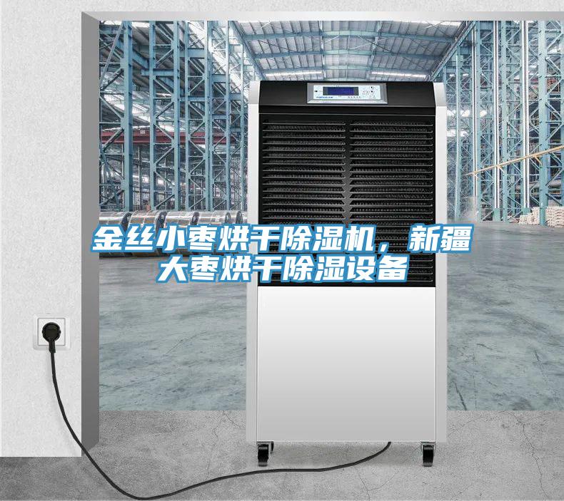金丝小枣烘干MR.好色破解版，新疆大枣烘干除湿设备