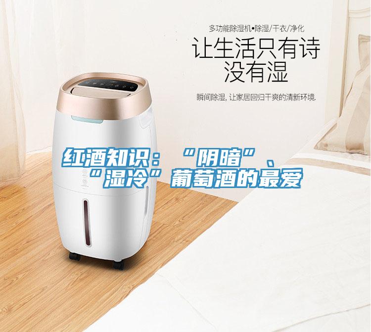 红酒知识：“阴暗”、“湿冷”葡萄酒的最爱