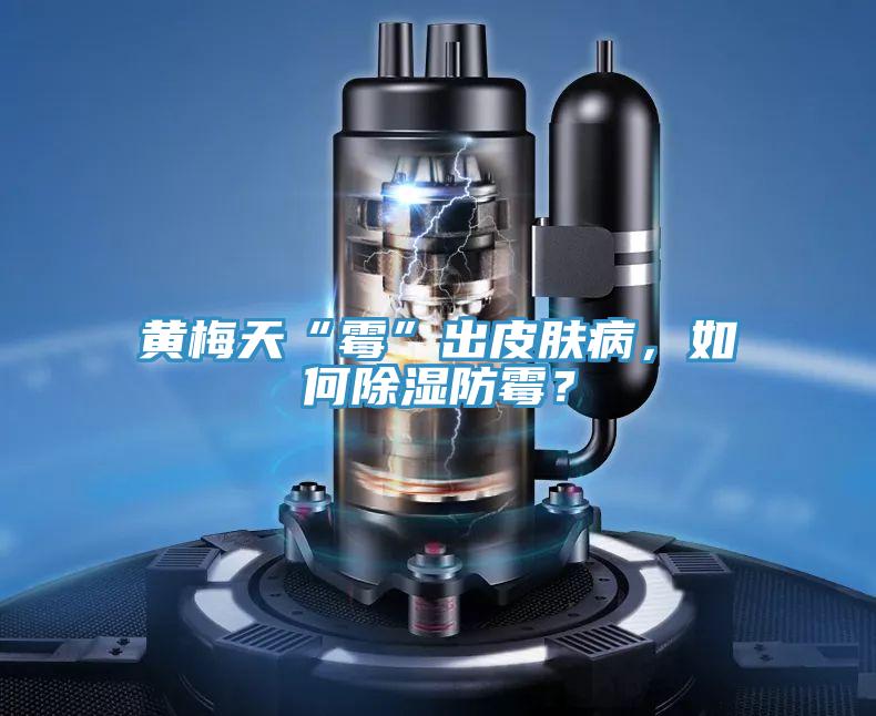 黄梅天“霉”出皮肤病，如何除湿防霉？