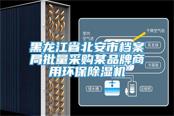 黑龙江省北安市档案局批量采购某品牌商用环保MR.好色破解版