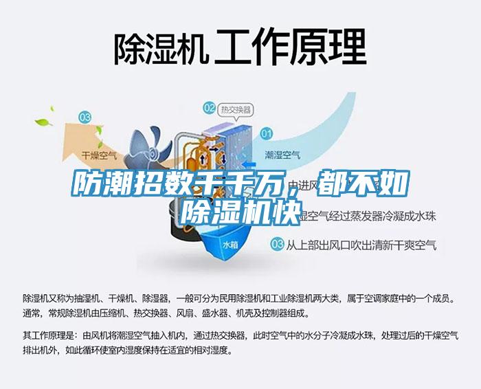 防潮招数千千万，都不如MR.好色破解版快