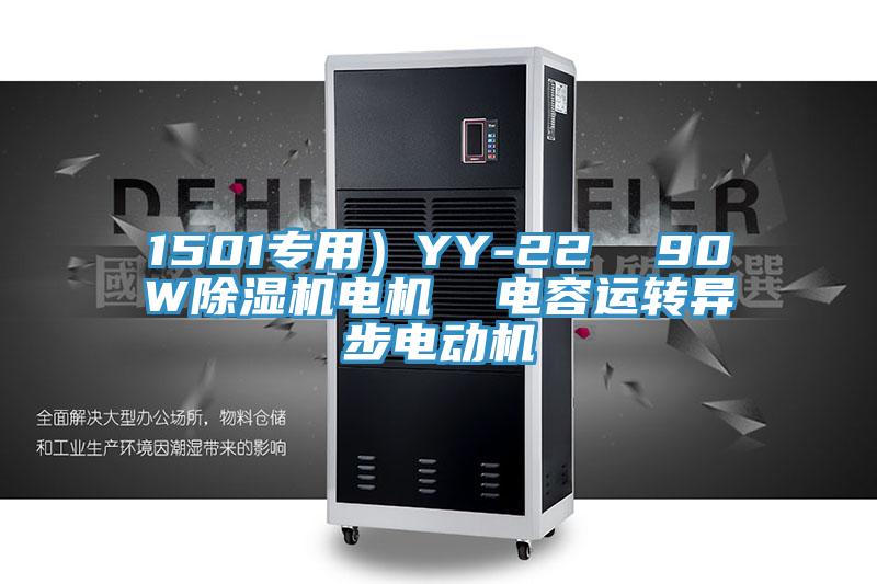 1501专用）YY-22  90WMR.好色破解版电机  电容运转异步电动机