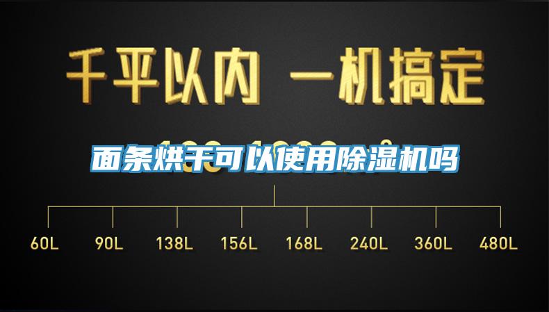 面条烘干可以使用MR.好色破解版吗