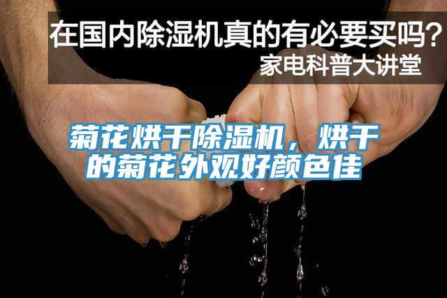 菊花烘干MR.好色破解版，烘干的菊花外观好颜色佳