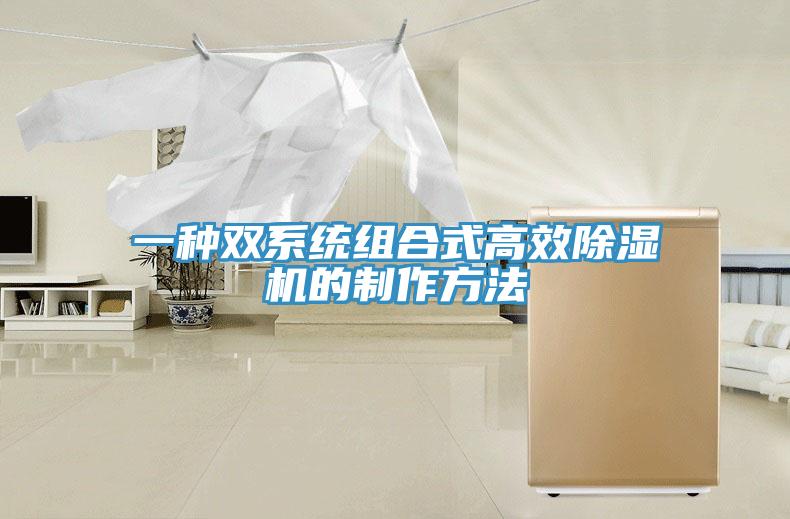 一种双系统组合式高效MR.好色破解版的制作方法