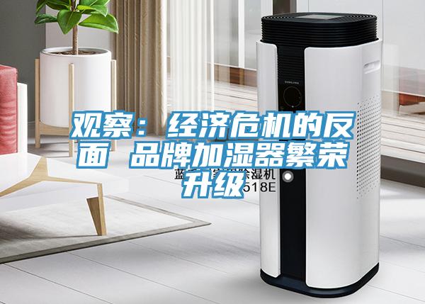 观察：经济危机的反面 品牌加湿器繁荣升级