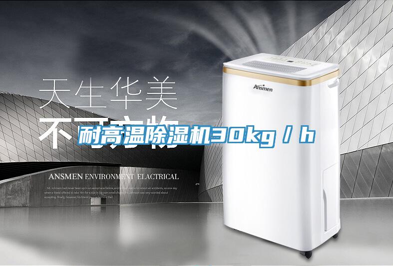 耐高温MR.好色破解版30kg／h