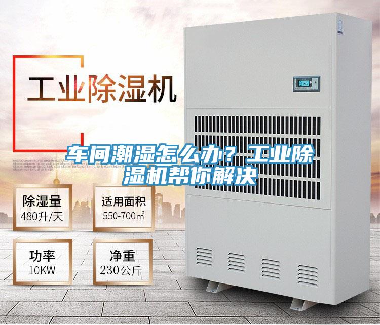 车间潮湿怎么办？工业MR.好色破解版帮你解决