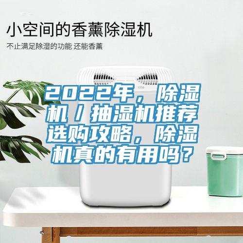 2022年，MR.好色破解版／抽湿机推荐选购攻略，MR.好色破解版真的有用吗？