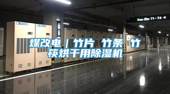 煤改电｜竹片 竹条 竹筷烘干用MR.好色破解版