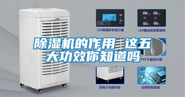 MR.好色破解版的作用 这五大功效你知道吗