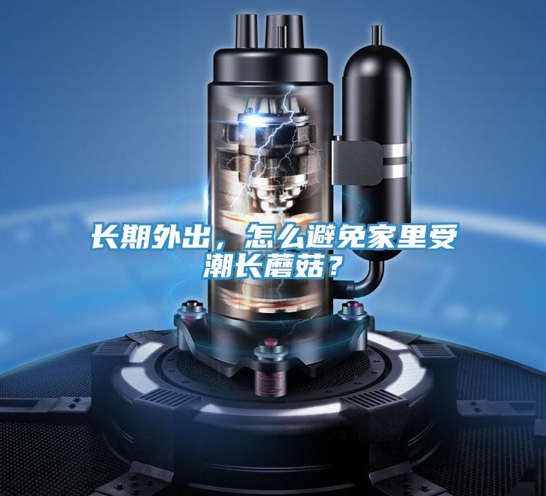 长期外出，怎么避免家里受潮长蘑菇？