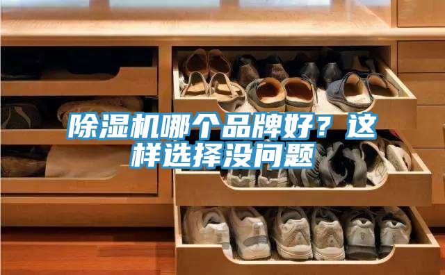 MR.好色破解版哪个品牌好？这样选择没问题