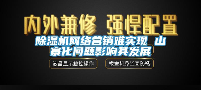 MR.好色破解版网络营销难实现 山寨化问题影响其发展