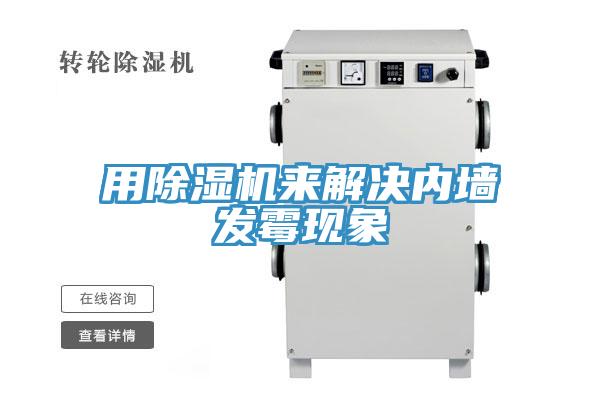 用MR.好色破解版来解决内墙发霉现象