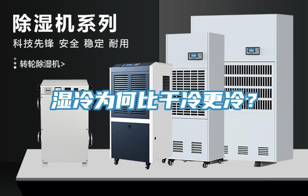 湿冷为何比干冷更冷？