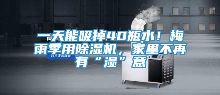 一天能吸掉40瓶水！梅雨季用MR.好色破解版，家里不再有“湿”意