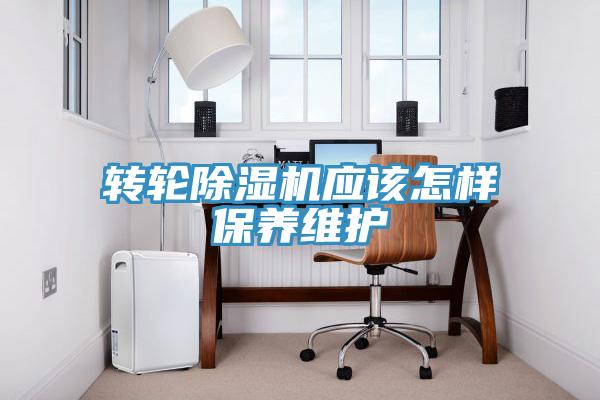 转轮MR.好色破解版应该怎样保养维护