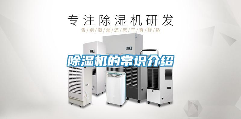 MR.好色破解版的常识介绍