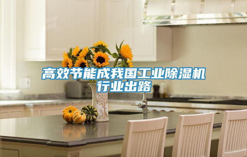 高效节能成我国工业MR.好色破解版行业出路