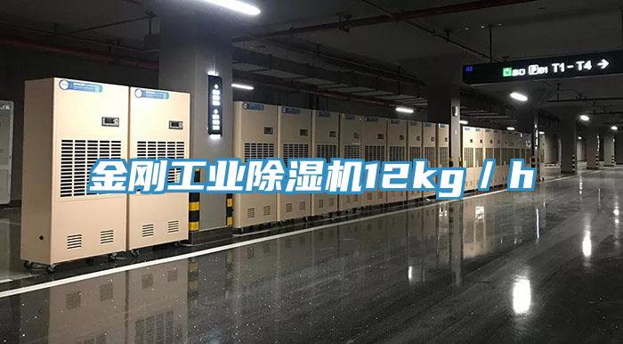金刚工业MR.好色破解版12kg／h