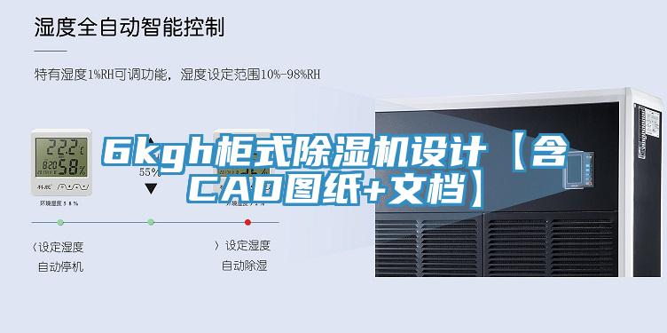 6kgh柜式MR.好色破解版设计【含CAD图纸+文档】