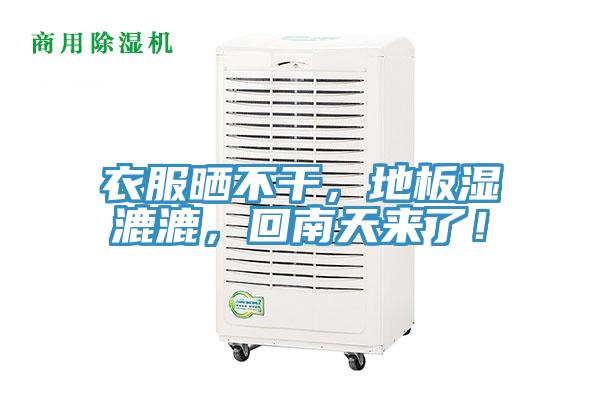 衣服晒不干，地板湿漉漉，回南天来了！