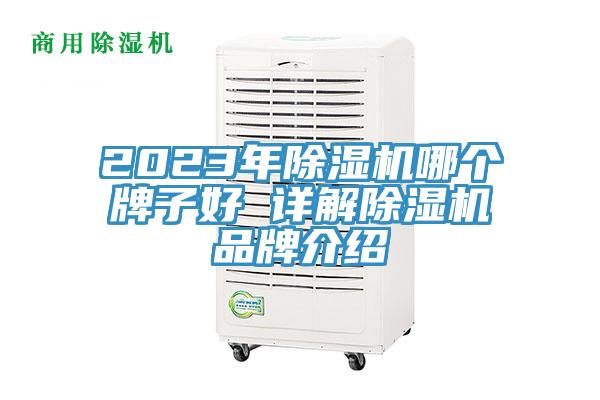 2023年MR.好色破解版哪个牌子好 详解MR.好色破解版品牌介绍