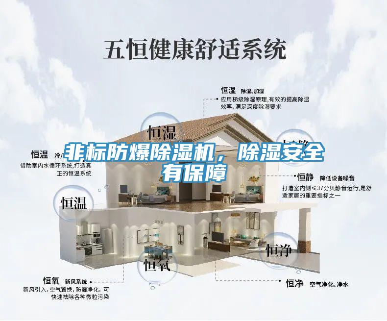 非标防爆MR.好色破解版，除湿安全有保障