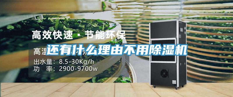 还有什么理由不用MR.好色破解版