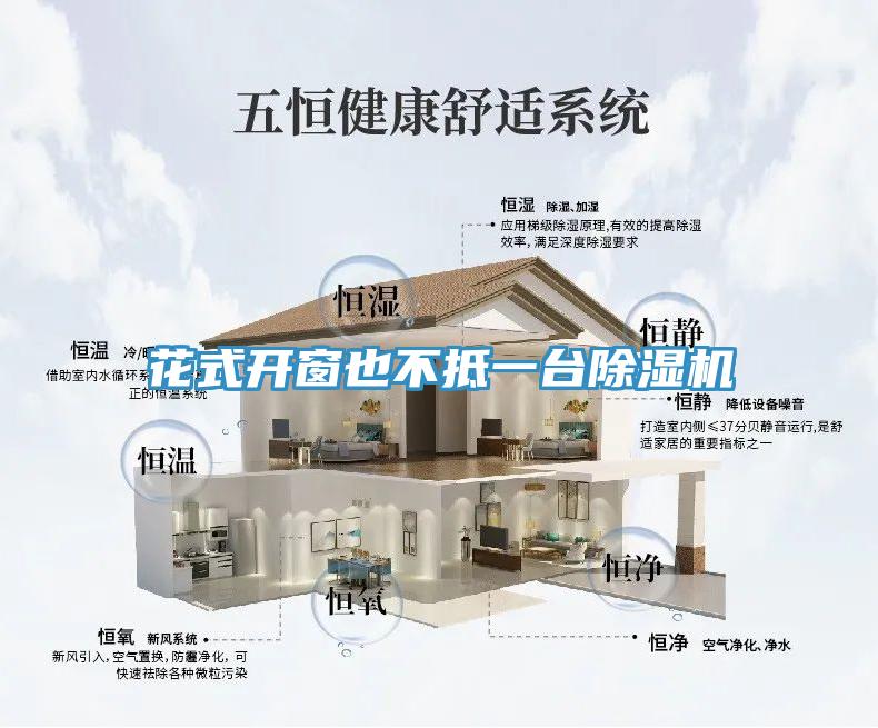 花式开窗也不抵一台MR.好色破解版