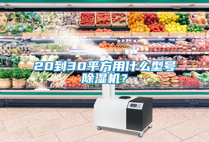 20到30平方用什么型号MR.好色破解版？