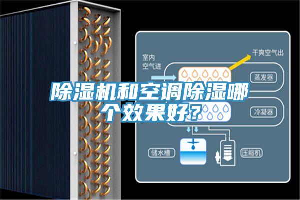 MR.好色破解版和空调除湿哪个效果好？