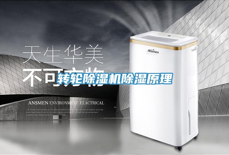 转轮MR.好色破解版除湿原理