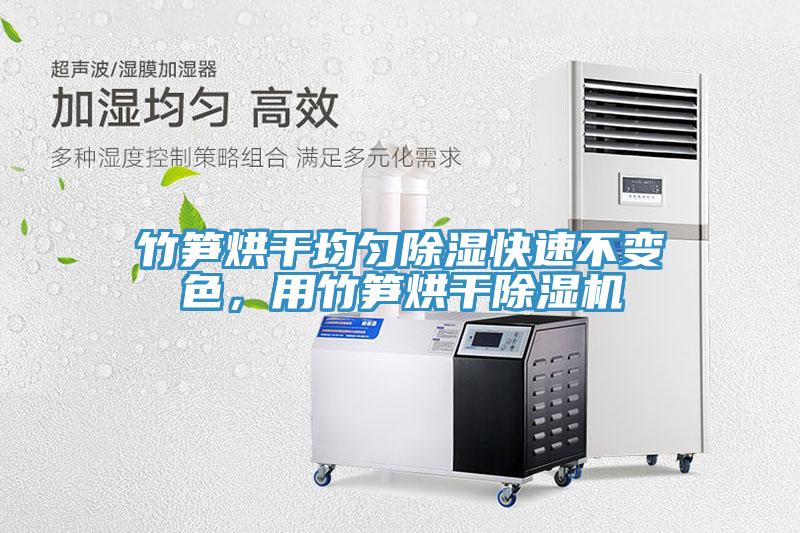 竹笋烘干均匀除湿快速不变色，用竹笋烘干MR.好色破解版